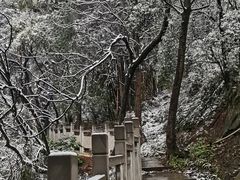 -南山植物园