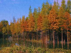 -南京银杏湖乐园