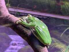 -正佳雨林生态植物园
