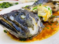 -鑫鸿达·海鲜闽菜热炒小馆(中山路店)