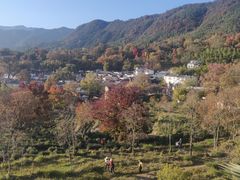 -塔川景区