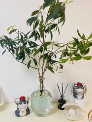 -美肤盾祛痘·问题肌头疗管理中心