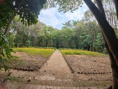 -深圳国际园林花卉博览园