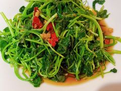 芥兰苗-佬肥猫(七宝宝龙店)