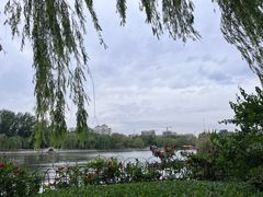 -济南大明湖景区