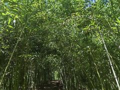 -北京宽沟会议中心