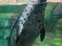 -福州罗源湾海洋世界旅游区