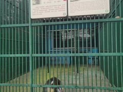 -秦皇岛野生动物园