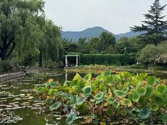 -国家植物园南园