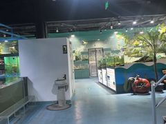 -上海大自然野生昆虫馆(东方明珠·爬宠昆虫探索中心)