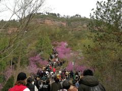 -天台山赤城山景区