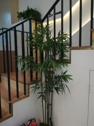 -麗宫轻医美·问题肌肤管理中心