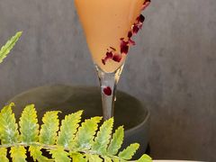 -Oasis Bar & Grill