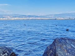 -西昌邛海湿地