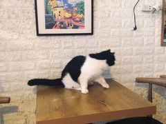 -平行世界·猫咖(首经贸店)