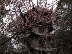 -成都杜甫草堂博物馆
