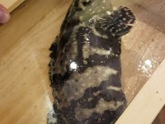 -ONE FULL 古董港式海鲜火锅