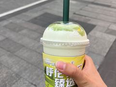 -茉酸奶(春熙路店)