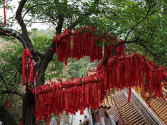 -沂蒙山旅游区云蒙景区(蒙山国家森林公园)