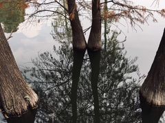 -云溪植物园