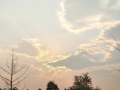 -汉长安城未央宫国家考古遗址公园