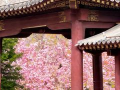 -元大都城垣遗址公园