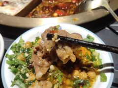 -杨家火锅(国美店)