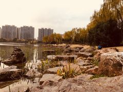 -南翔镇银翔湖公园