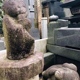 无名的神社，读书的花园