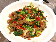 鸭掌筋-壹盏灯(惠农店)