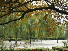 -洛阳市隋唐城遗址植物园