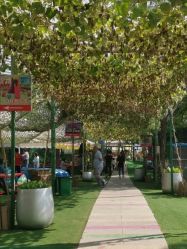 -萌宠亲子动物乐园(槐房万达店)