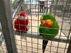 -南宫五洲植物乐园