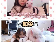 -听说碳烧蛙(高新万达店)