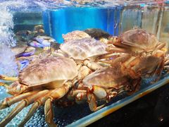 -盒马鲜生(悠方店)