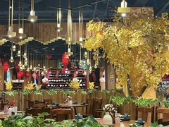 -老滇山寨•云南特色菜•地方菜•民族风情歌舞表演(金碧店)