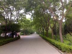 外景-大明幻境第一城