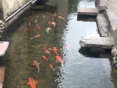 -前童古镇