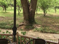 -无锡梅园公园