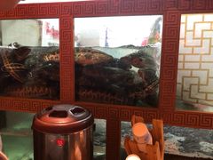 -蜀都丰 正宗水煮鱼(建德天城店)