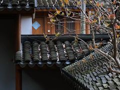 -普陀山风景区-佛顶山