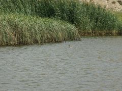 -水洞沟旅游区