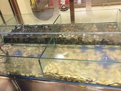 -比亚森自助烤肉料理(裕华店)