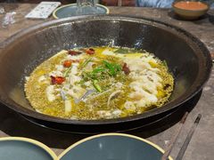 -肥鱼屯活鱼锅(惠工街店)