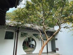 -上海醉白池公园