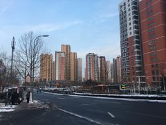-山东大学齐鲁医院(青岛院区)