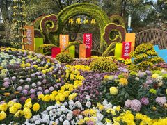 -南山植物园