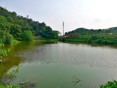 -滴水岩森林公园