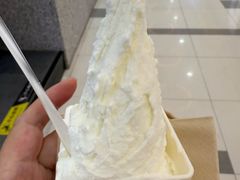 -野人先生Gelato(上海长宁龙之梦店)