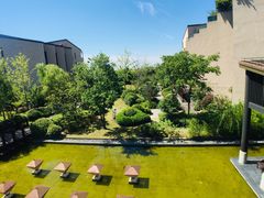-上海崇明金茂凯悦酒店
